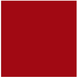Dupli-Color BFM0306 Cardinal Red Perfect Match Ford Spray Paint 8 oz – Case of 6